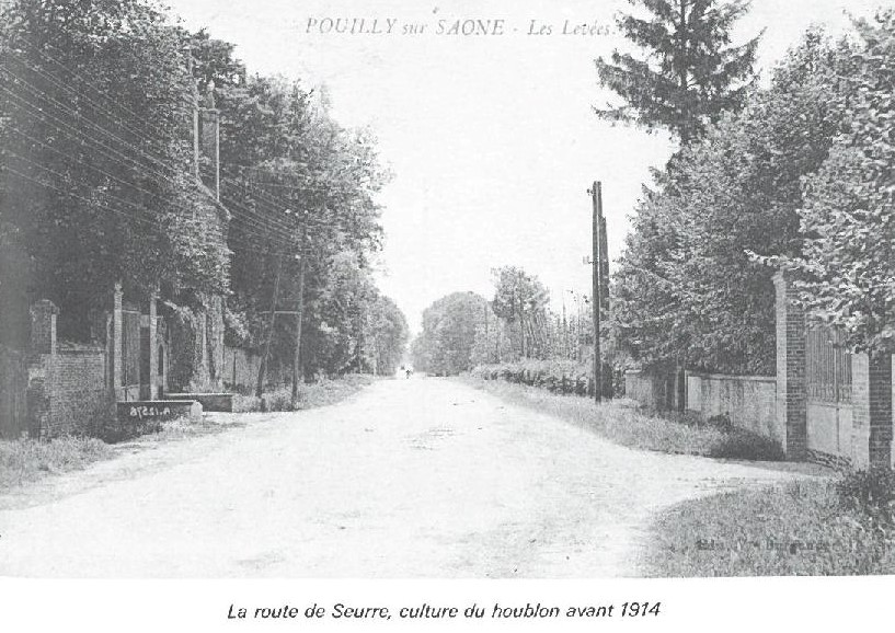 Les Levées