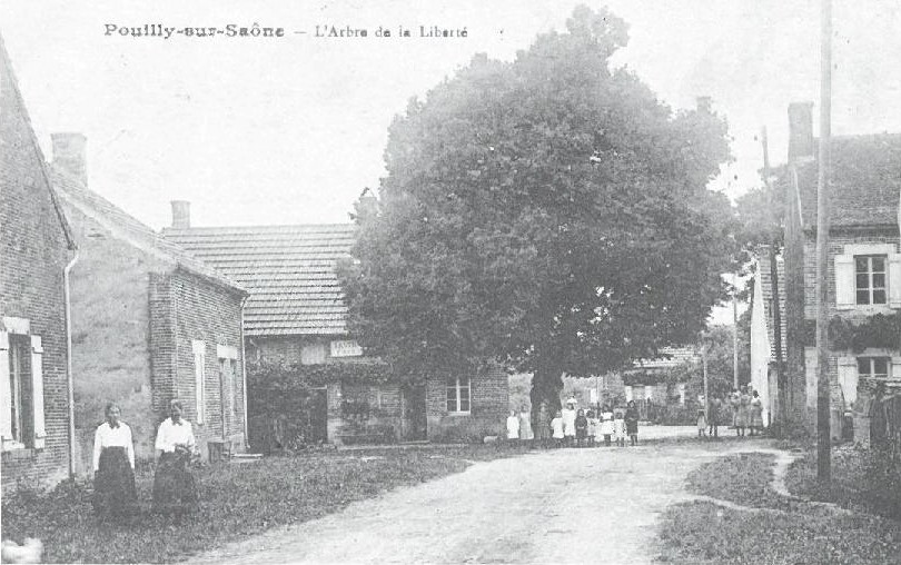 L'arbre de la Liberté